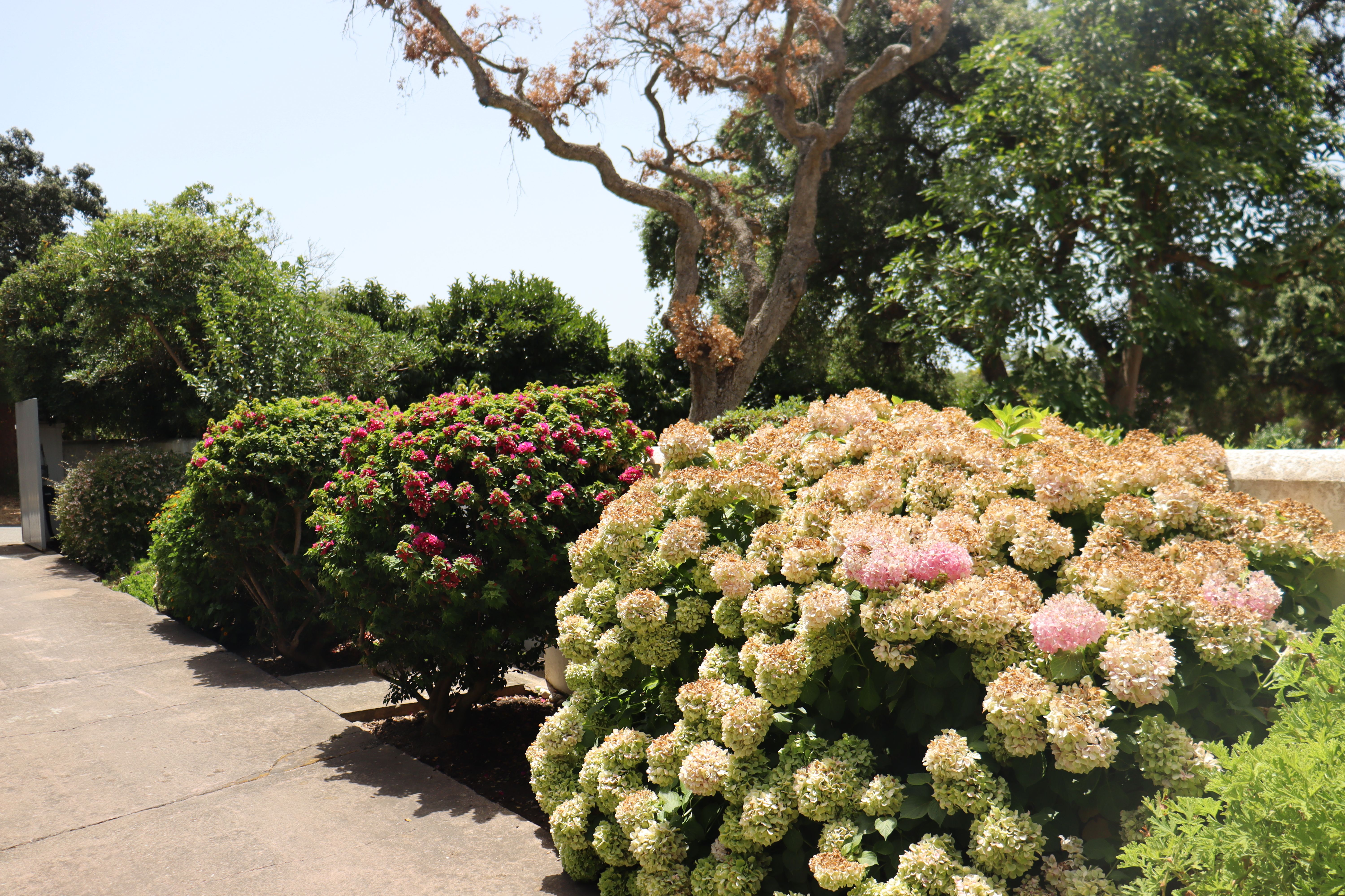 Villa mediterránea - Imagen 61