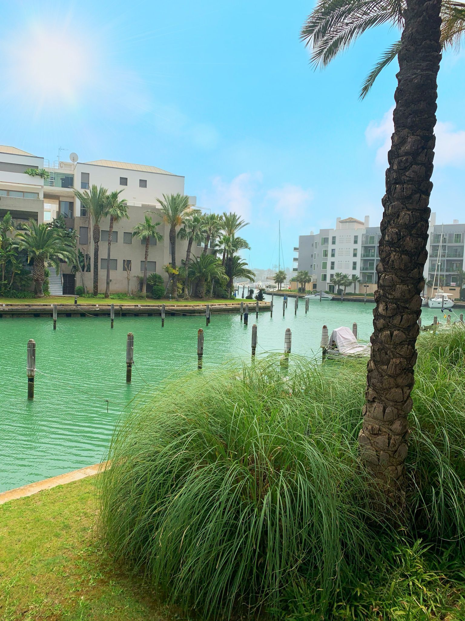 Apartamento en Isla Carey - Imagen 2