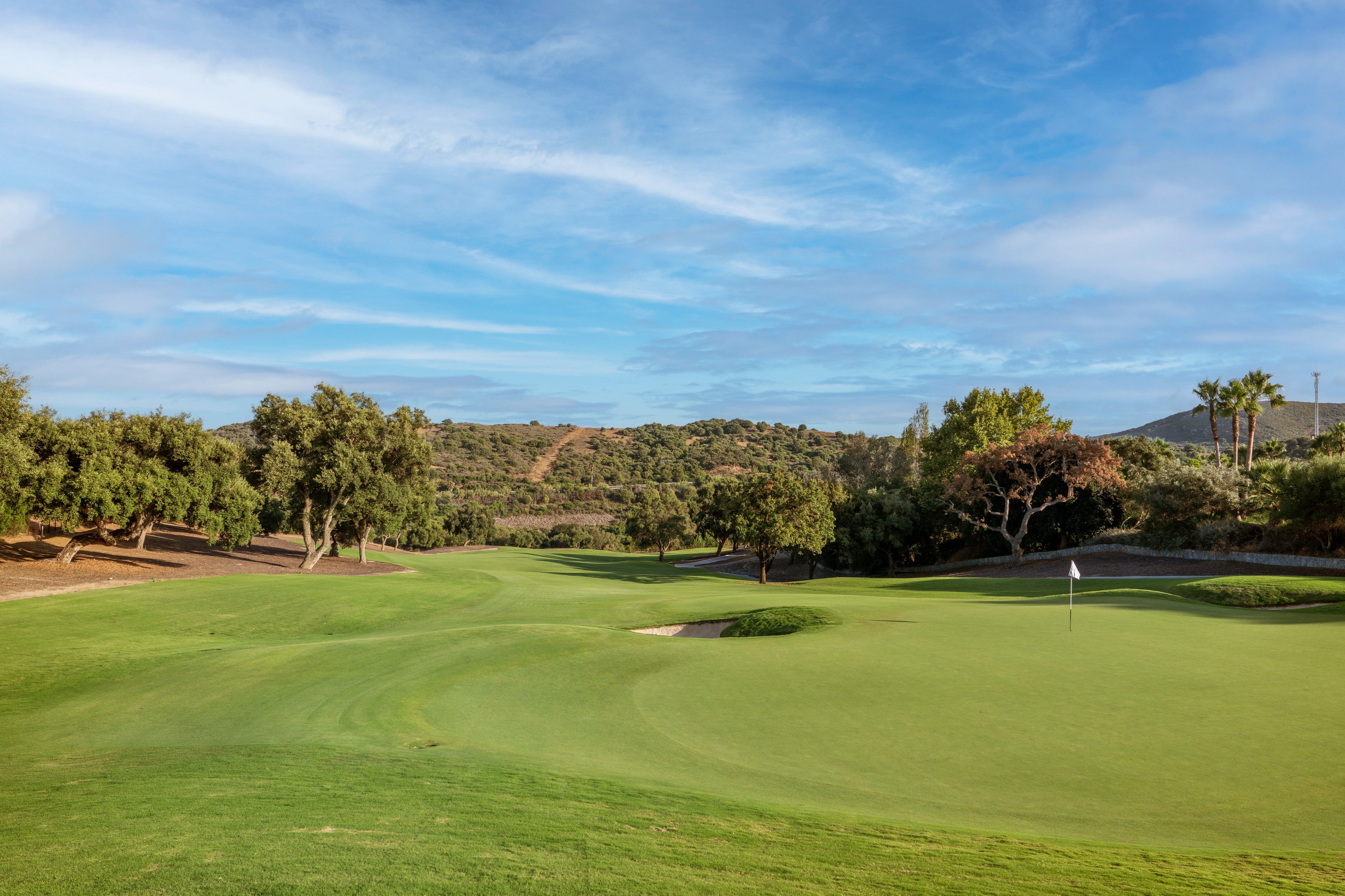 Parcela en San Roque Club - Imagen 8